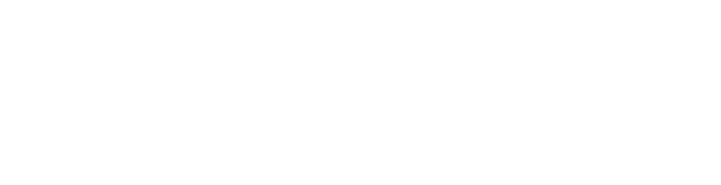 XPEL — authorized dealer
